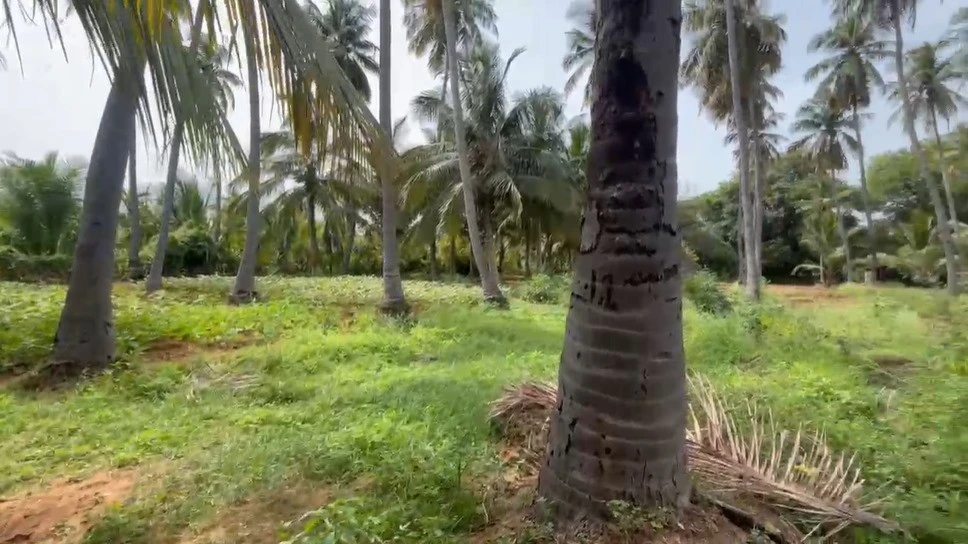 Madurai, Tamil Nadu, India