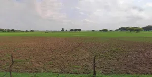 Saharanpur, Uttar Pradesh, India preview 3