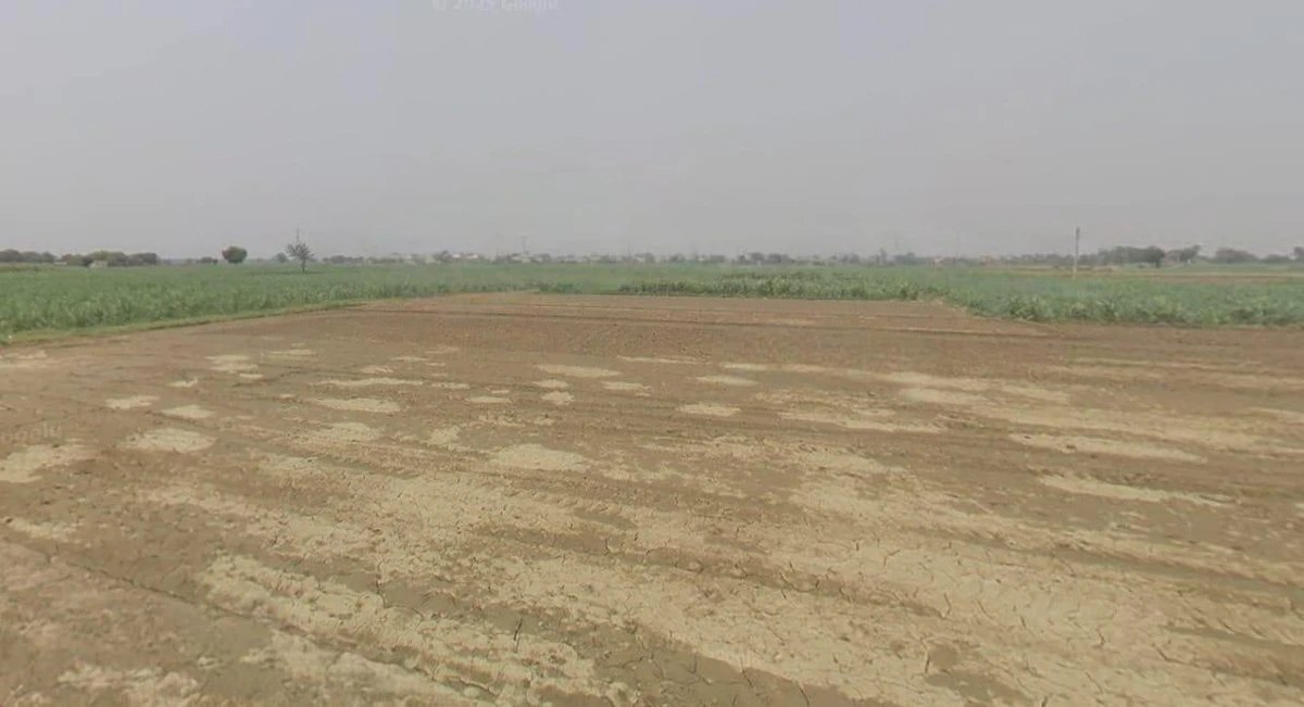 Sankheda, Madhya Pradesh 466665, India