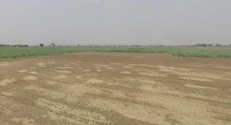 Sankheda, Madhya Pradesh 466665, India preview 2