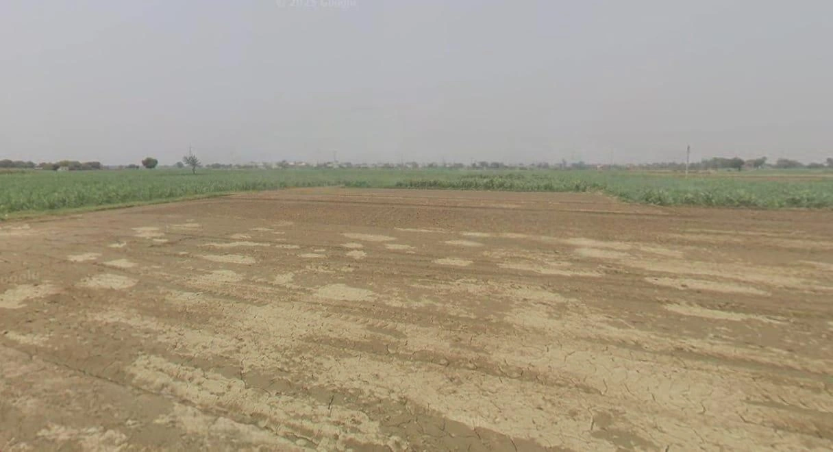 Sankheda, Madhya Pradesh 466665, India