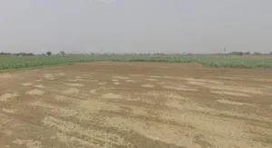 Sankheda, Madhya Pradesh 466665, India preview 2