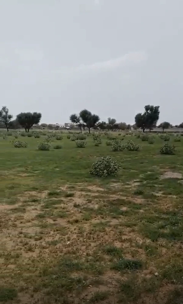 Q84P+6QG, Jaipur, Palu Kalan, Rajasthan 303348, India