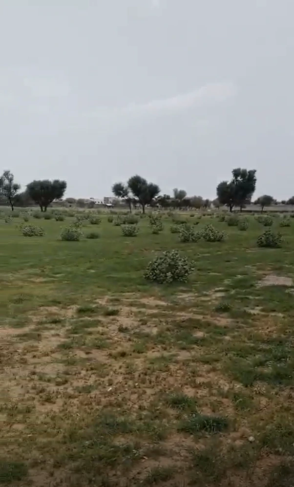 Q84P+6QG, Jaipur, Palu Kalan, Rajasthan 303348, India