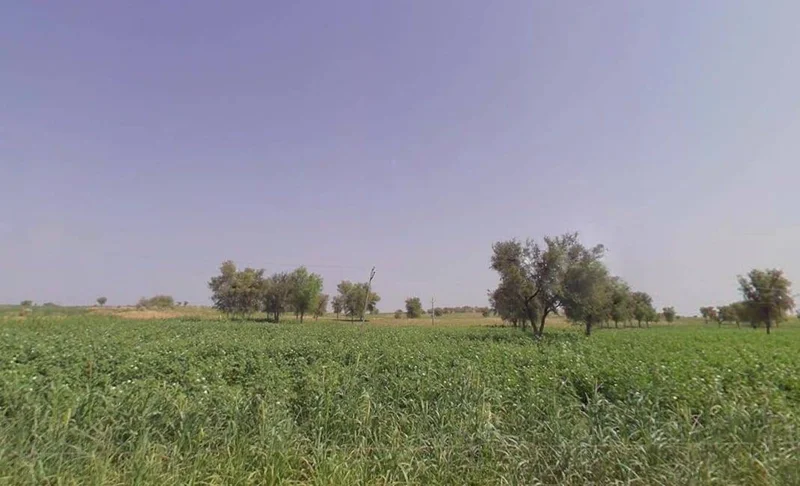 Arjansar, Rajasthan 334604, India preview 2