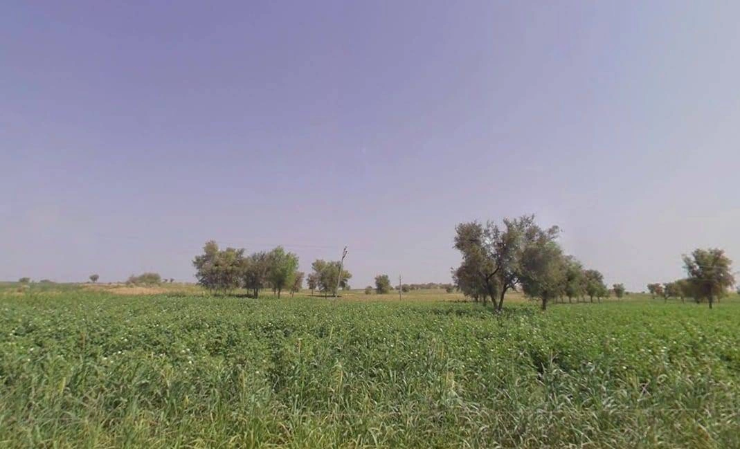 Arjansar, Rajasthan 334604, India