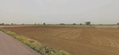 Sector 4, Gurugram, Haryana, India preview 2