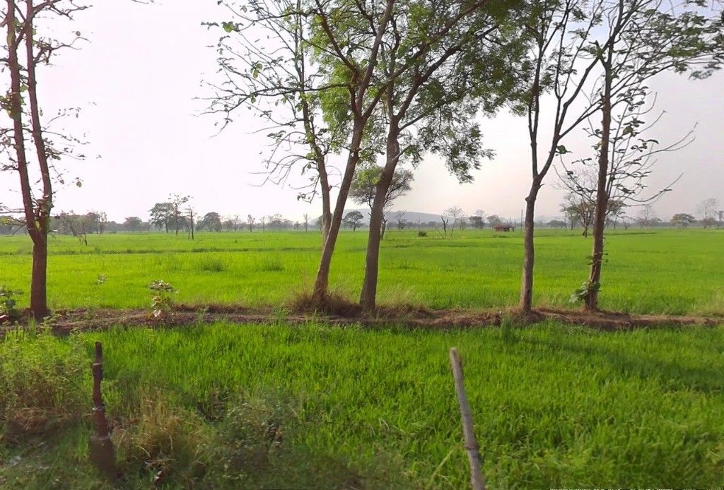 Bhadrali, Chhattisgarh, India