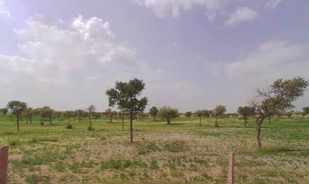 Bhanipura, Rajasthan 331411, India
