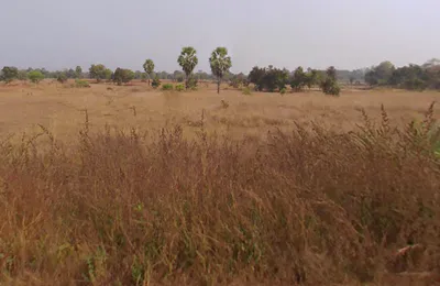 Gudighat, Saintala, Odisha 767032, India preview 2