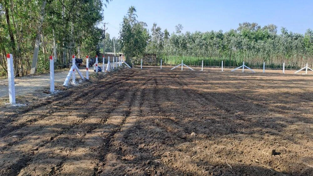 Hasanawala, Uttarakhand 247662, India