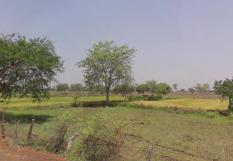 Kharora, Chhattisgarh 493225, India preview 3