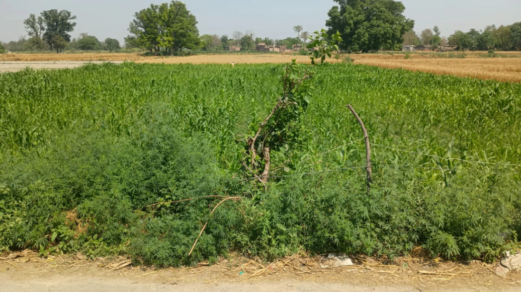 Kharagpur, West Bengal, India