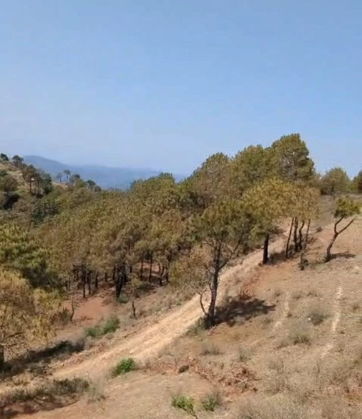 Sarahan Kalan, Himachal Pradesh 173024, India