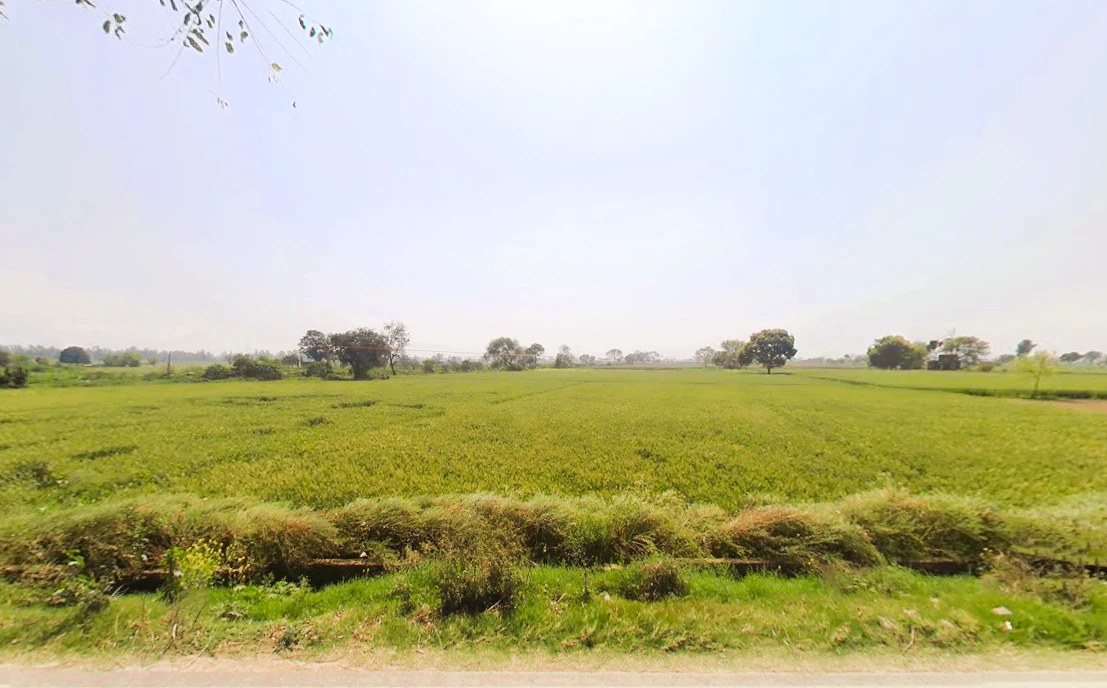 Ganaur, Haryana 131101, India