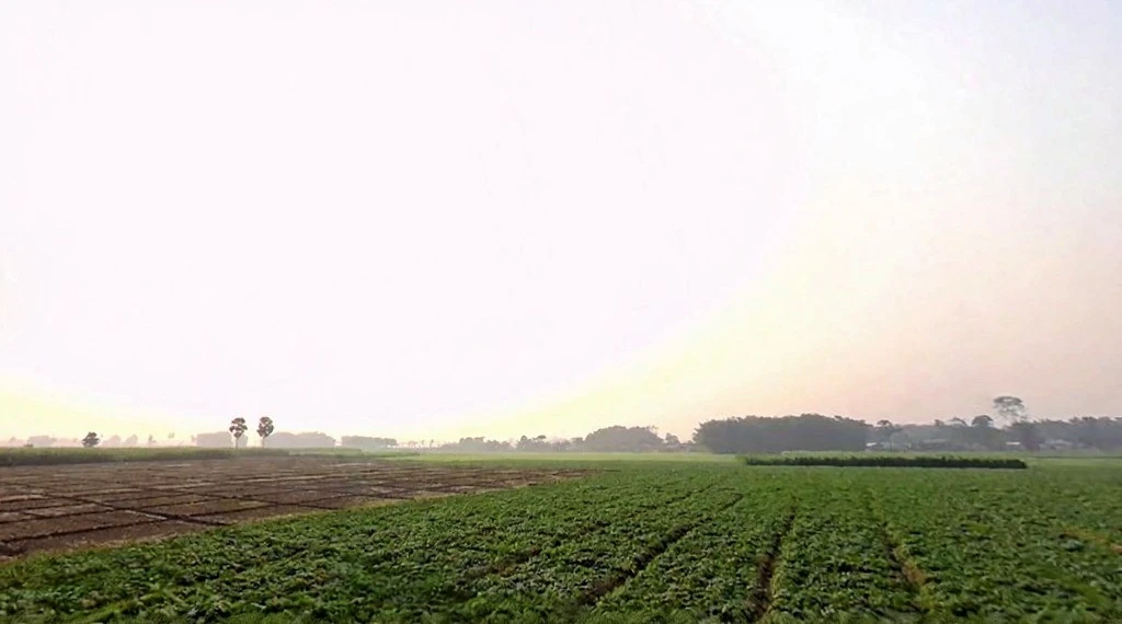 VF5F+HGP, Road, Kasba, Betauna, Bihar 854304, India