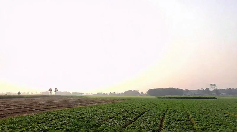 VF5F+HGP, Road, Kasba, Betauna, Bihar 854304, India preview 2