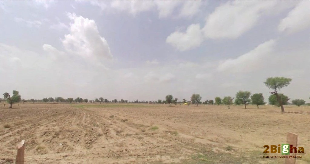 Bhanawatawala, Rajasthan 334808, India