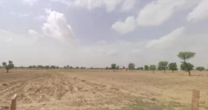 Bhanawatawala, Rajasthan 334808, India preview 3