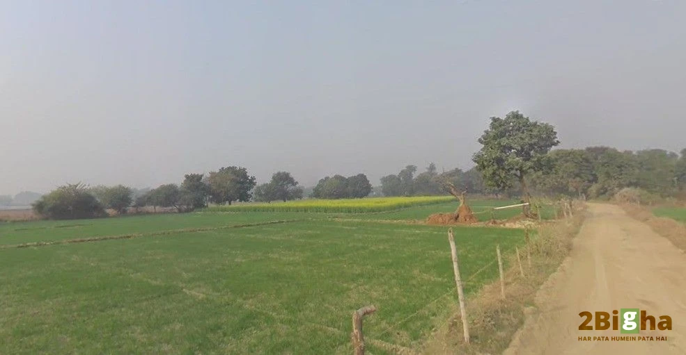 Mohanlalganj, Uttar Pradesh 226301, India