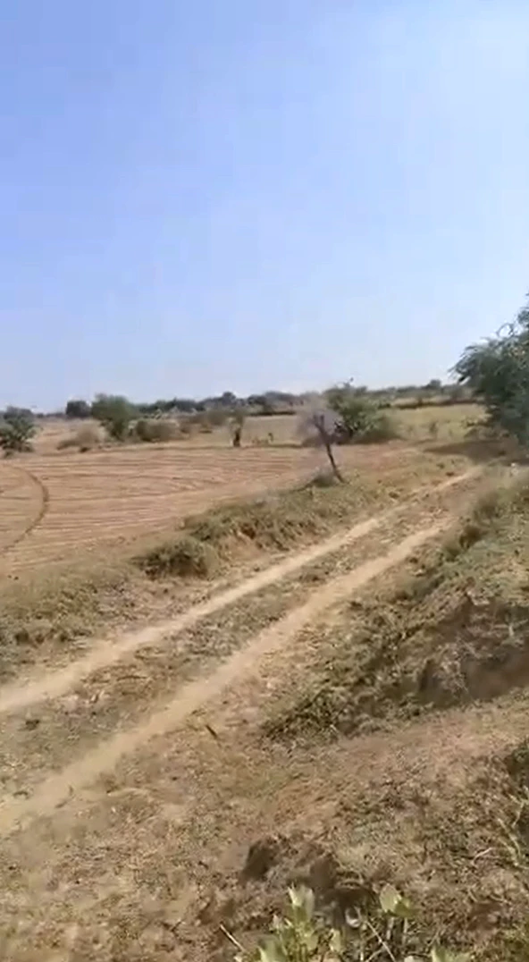 64Q9+HQ Thadoli, Sawai Madhopur, Rajasthan, India