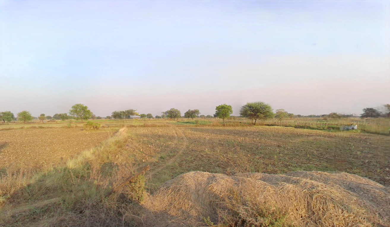 Gatoura, Chhattisgarh 495550, India