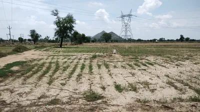 Tanda, Uttar Pradesh 244925, India preview 2