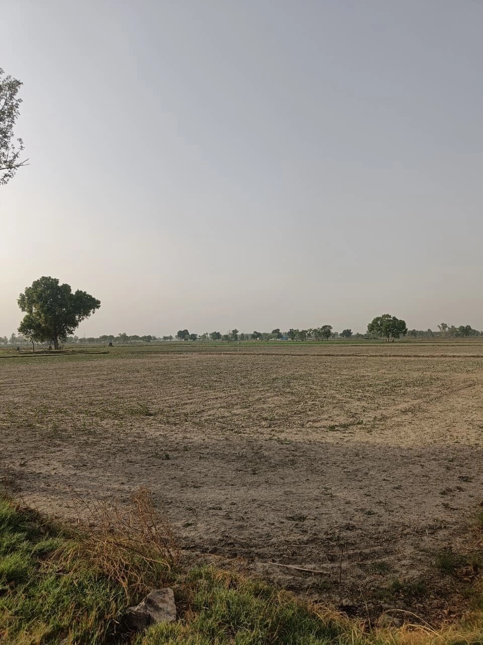 Naugaon, Rajasthan 301025, India preview 2