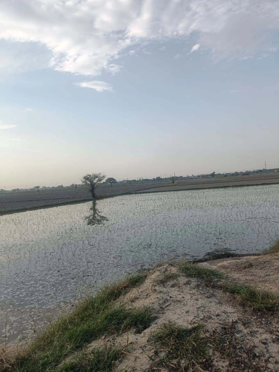 Aou, Rajasthan, India preview 3