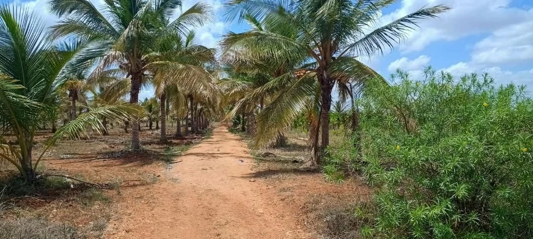 VR86+CMJ, Tumakuru, Kaluvarahalli, Karnataka 572139, India