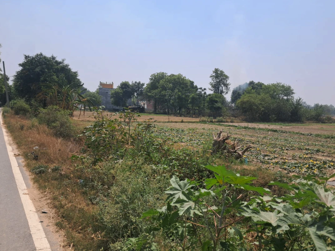 Banga, Punjab 144505, India
