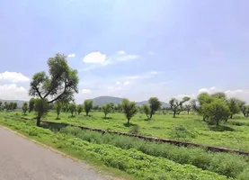 Bandrol, Rajasthan, India preview 3