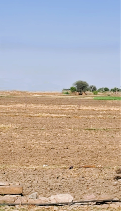 Datauli, Haryana 131101, India