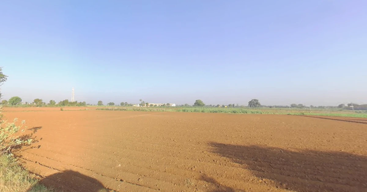 Mota Timbla, Gujarat, India