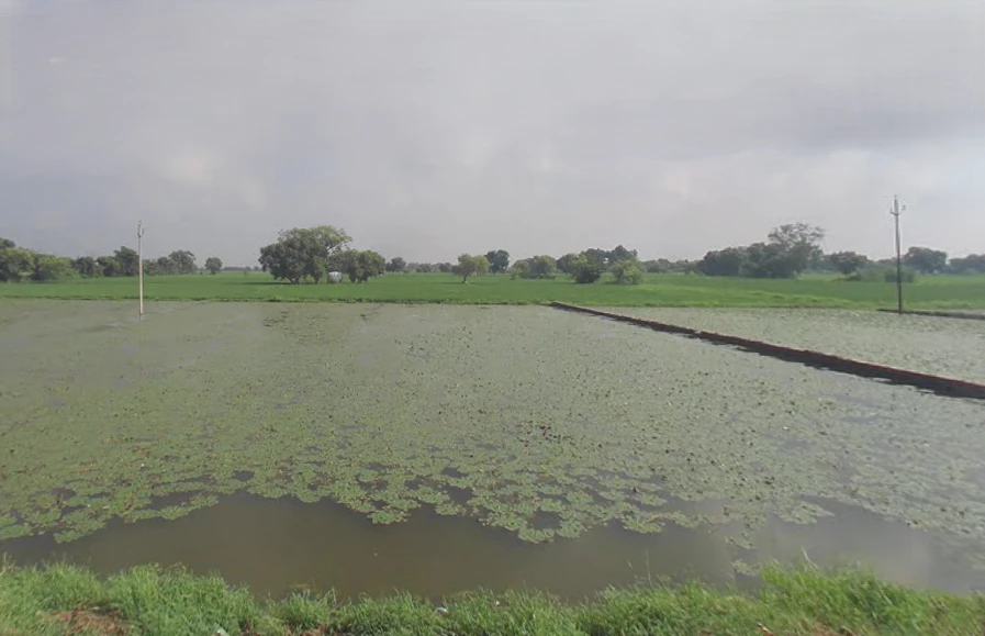 Govardhan, Uttar Pradesh, India