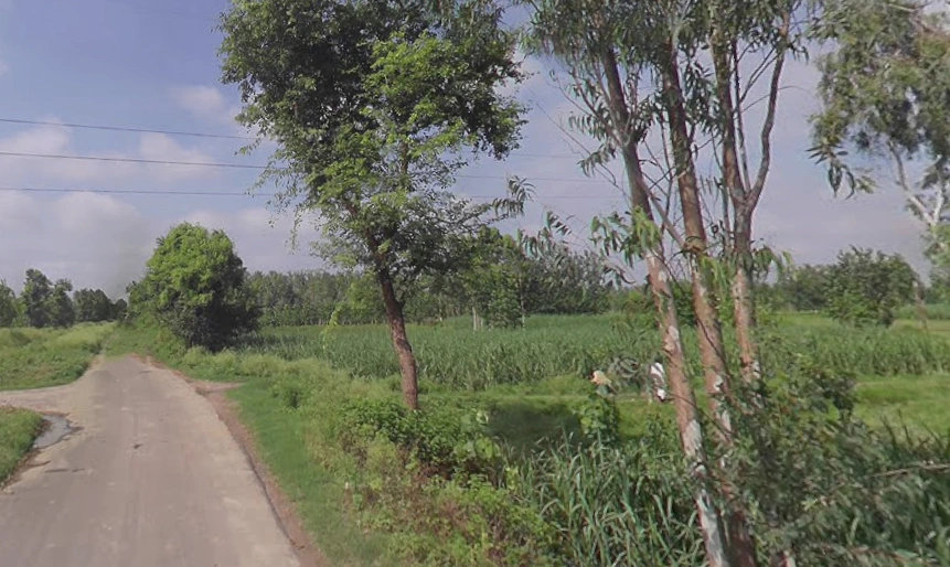 Sarsawa, Uttar Pradesh 247232, India