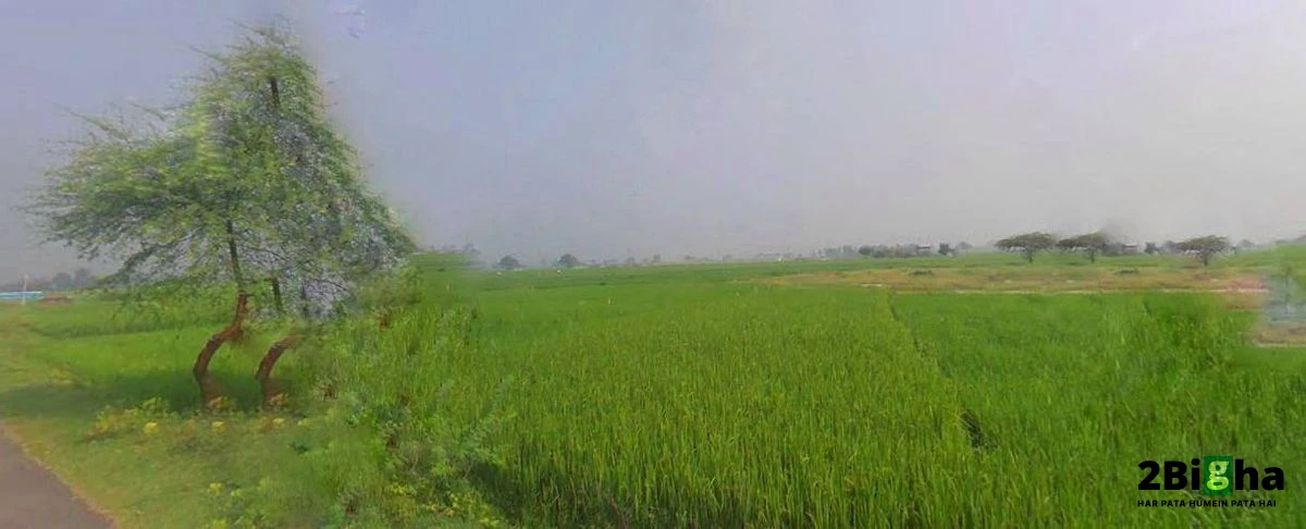 Kanpur - Lucknow Rd, Railway Colony, Alambagh, Lucknow, Uttar Pradesh, India