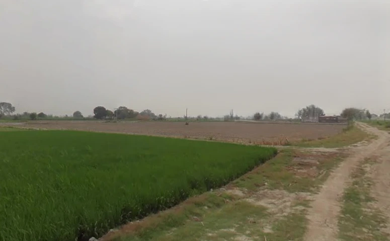 Shahabad Garhi, Uttar Pradesh 250406, India