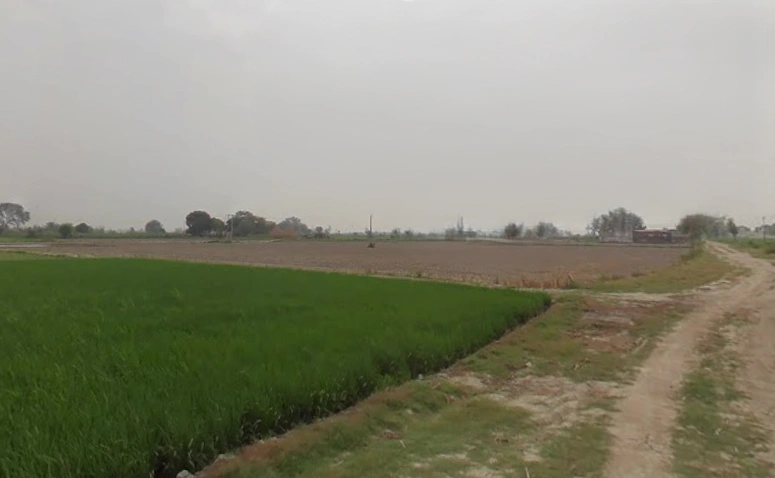 Shahabad Garhi, Uttar Pradesh 250406, India