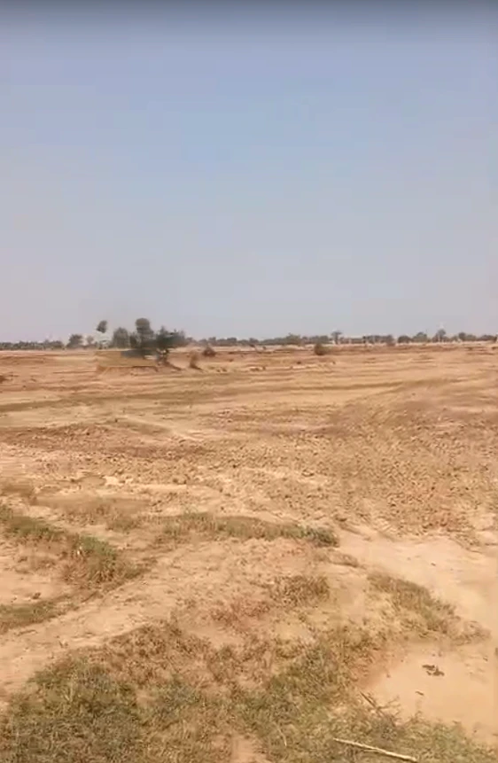 Kaladera, Rajasthan 303801, India