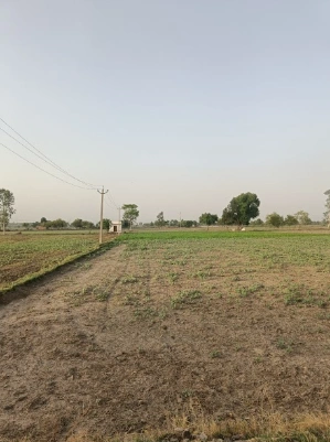 Siyana, Uttar Pradesh 203412, India