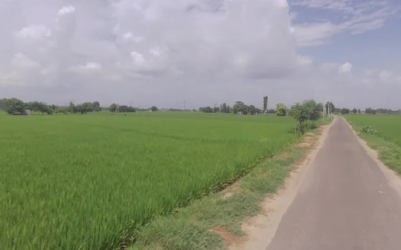 Moga, Punjab, India preview 3