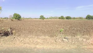 Gogawan, Madhya Pradesh 451335, India preview 3