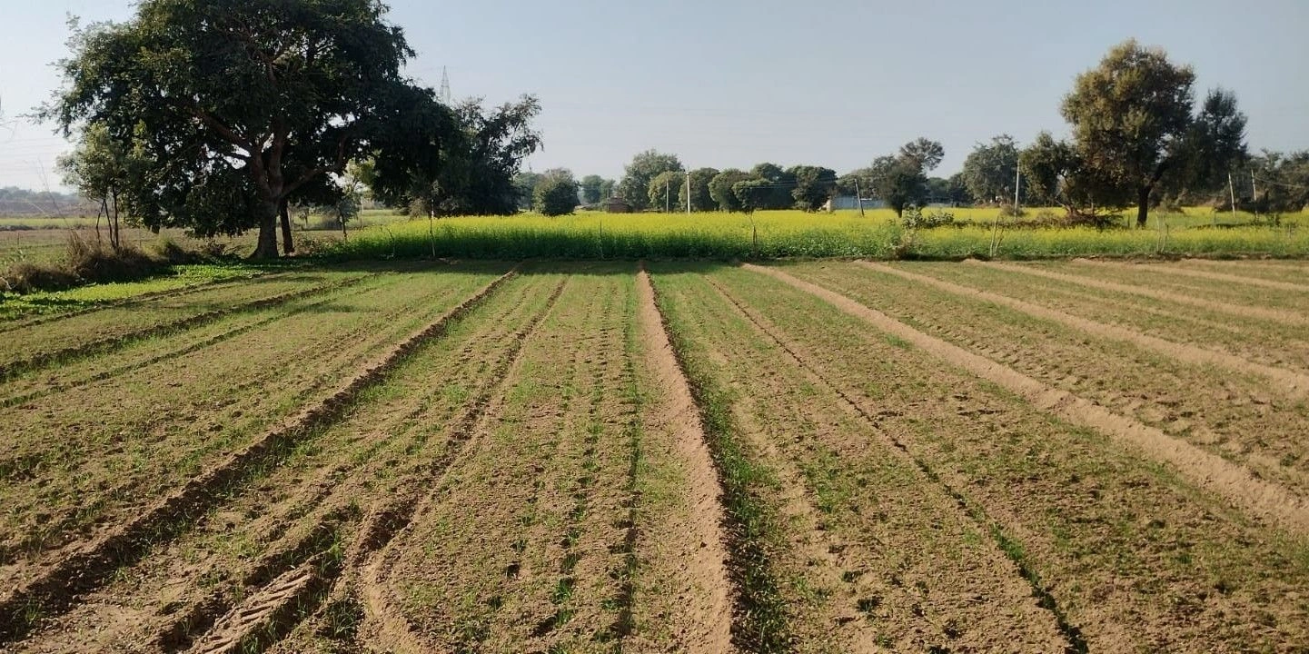 Ulaheri, Rajasthan, India