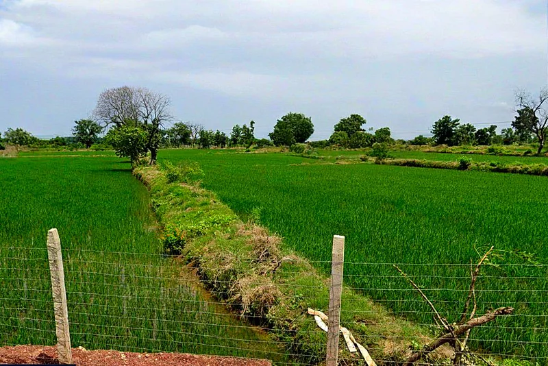 Dargaon, Chhattisgarh 491332, India preview 3