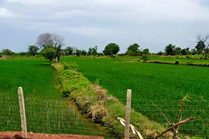 Dargaon, Chhattisgarh 491332, India preview 3