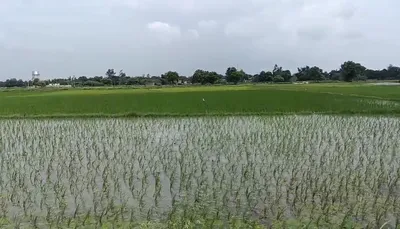 Dhilwan, Kapurthala, Punjab 144804, India preview 2