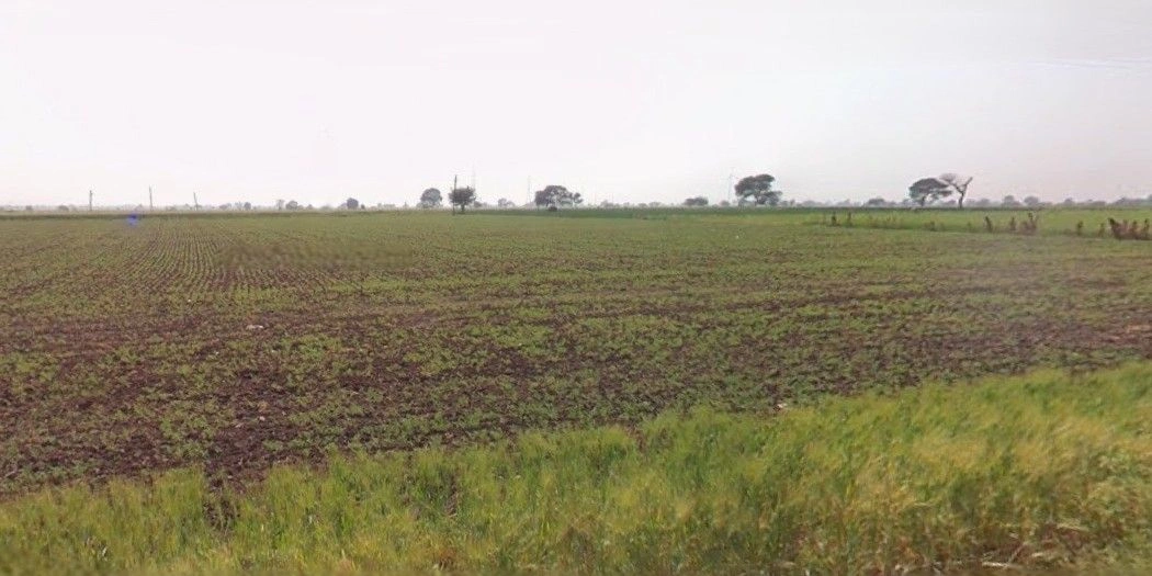 Dadri, Bhiwani, Haryana 127021, India