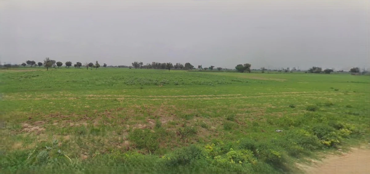 Mandsaur, Madhya Pradesh, India