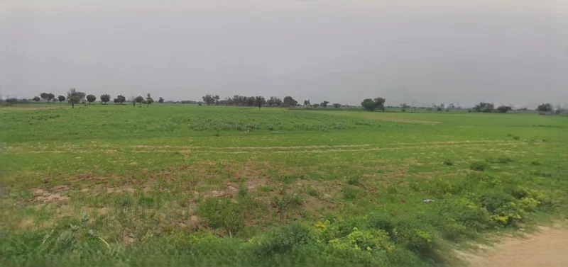 Mandsaur, Madhya Pradesh, India preview 2